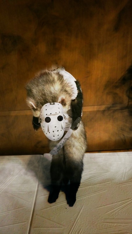 ����� � ���� ���� �����, ������� � �������-������ � ������ ����