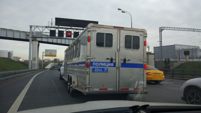 police - My, Horses, Police