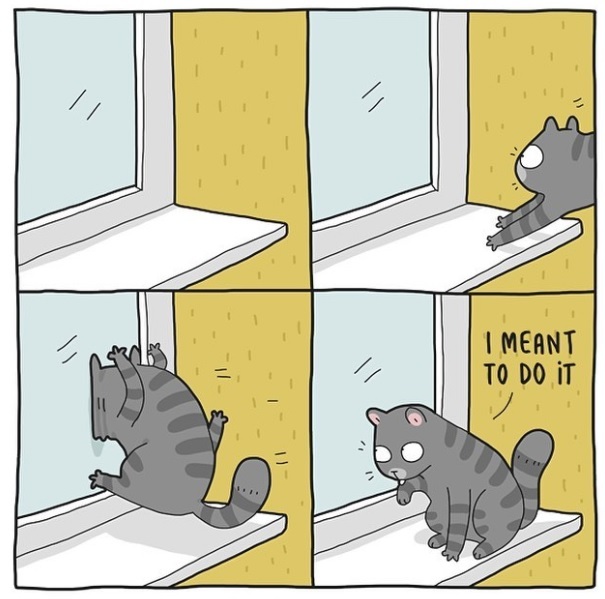 Everything is planned - Comics, Lingvistov, cat