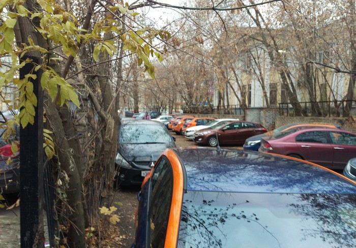 ������� ����