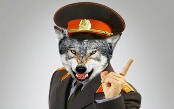 Werewolves in epaulettes that we ourselves created?! - My, The photo, Text, TV set, Rave, Video