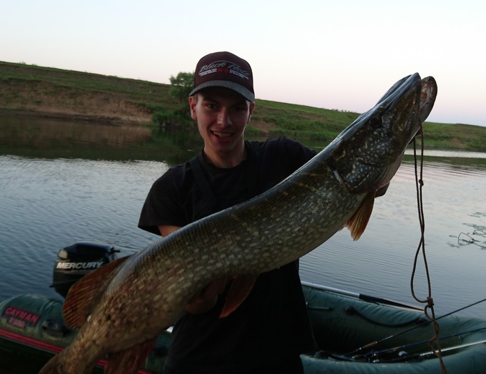 Trophy for 8 kg, August b. Pronya, Ryazan region - My, Fishing, Spinning, Trophy