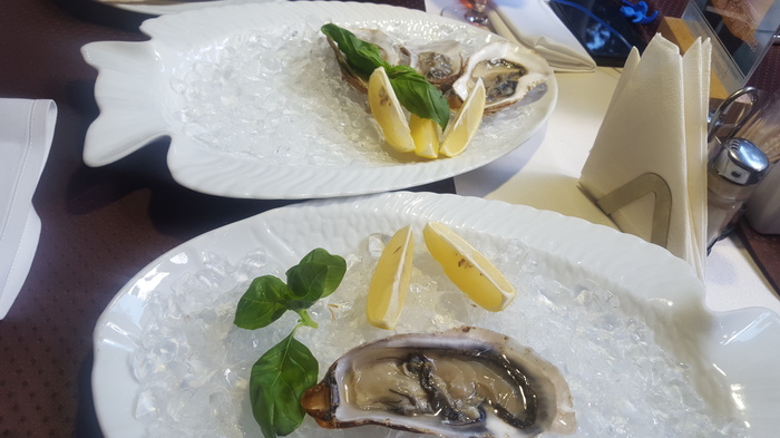 Oysters - My, Oysters, Crimea