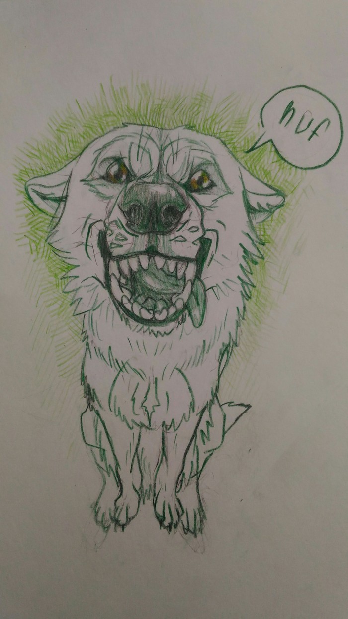 Funny wolf. - My, Wolf, Pencil drawing, Summer