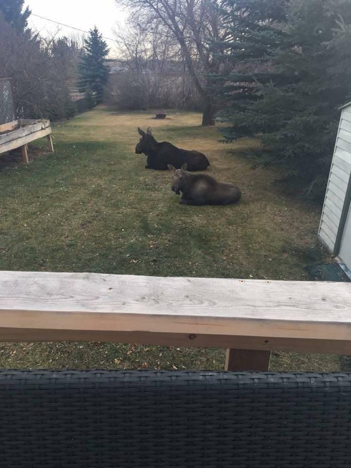 Привет новым соседям