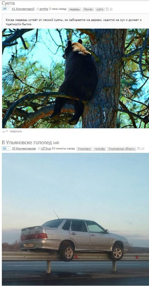 This is a coincidence - Peekaboo, Russian roads, The Bears, ribbon