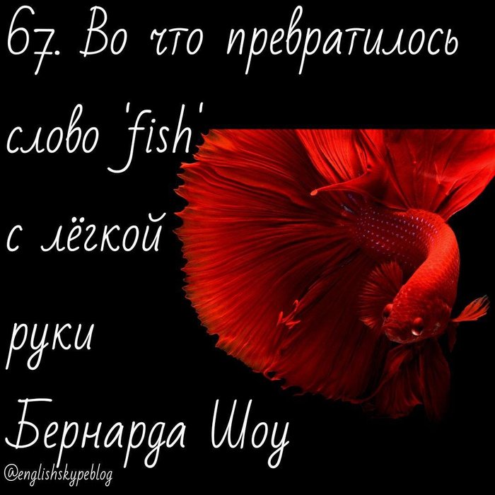  67.     'fish'     .  ,  ,  , , , 