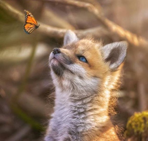 ������� ��� ���������� ������� :)