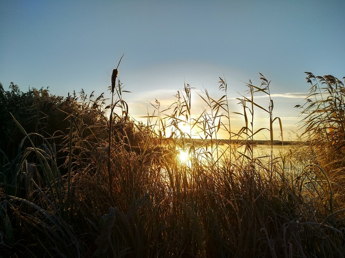 beauty of nature - My, beauty of nature, Nature