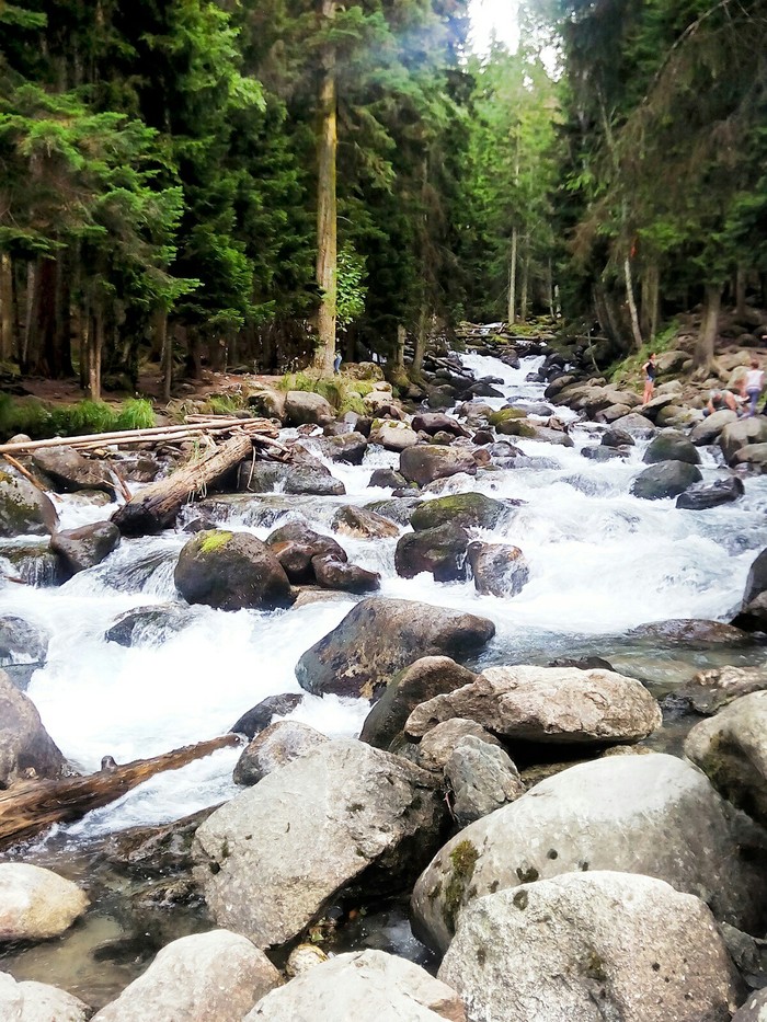 Dombay. - My, Summer, My, Caucasus, Dombay, Mountain river