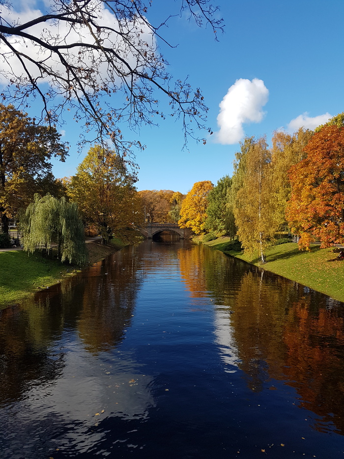 Beautiful autumn in Riga this year - My, My, Mobile photography, Riga, Autumn