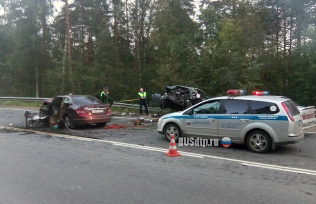 The culprit of the death of Pavel Soltan was sentenced to 4.5 years in prison - Road accident, Crash, The photo, Text