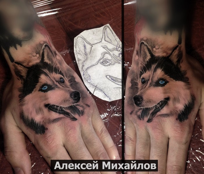 Husky tattoo on the brush - My, Husky, Tattoo, Tattoo sketch, Tattoo Artists, Art, Sketch, Tattoo artist, Dog