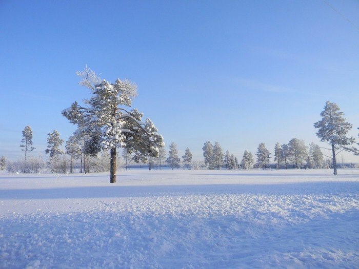 Nadymsky district, 2013-2016 - My, Nadym District, Nadym, Nature, Forest, Winter, Autumn, Landscape, Longpost