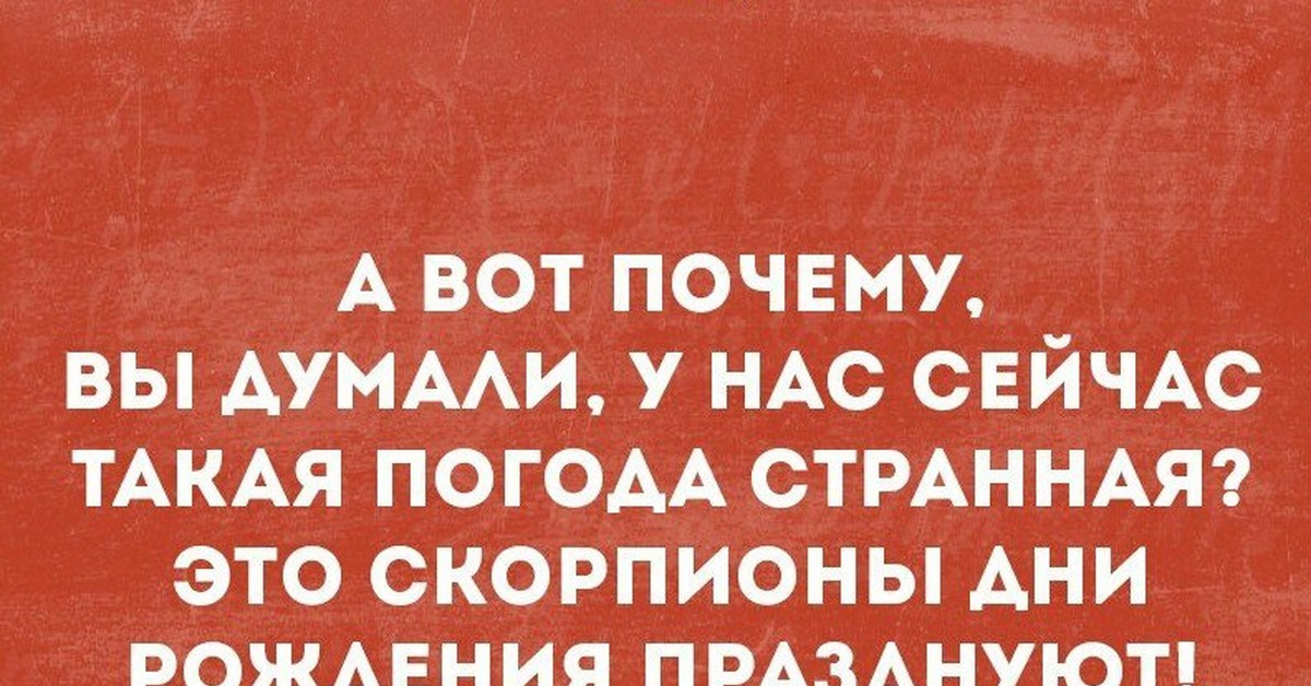 Почему это вы так думаете. Важные дела прикол. Шутки про дни рождения скорпионов. Как вы думаете почему погода испортилась. Шутка про скорпионов и погоду.