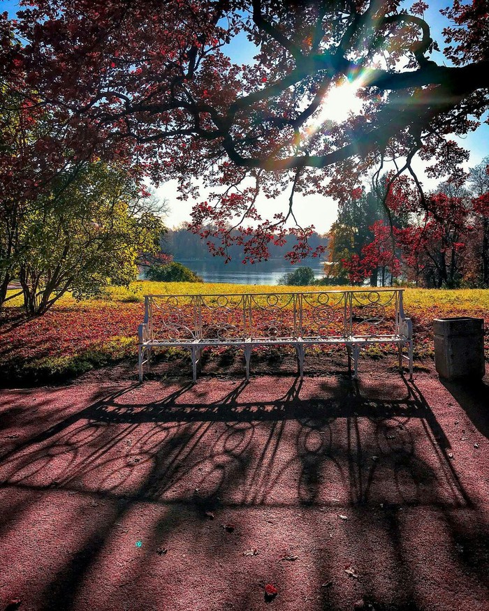 Catherine Park, Pushkin. - Pushkin, The park, The sun, Saint Petersburg, Hermitage, View from the window, Neva, Longpost