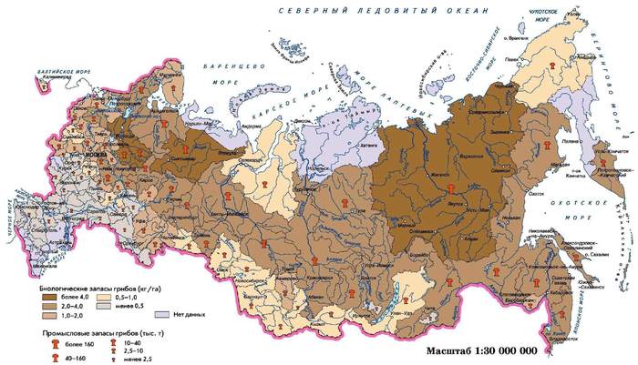 Map of the most mushroom regions of Russia. - Map of Russia, Mushrooms, Interesting