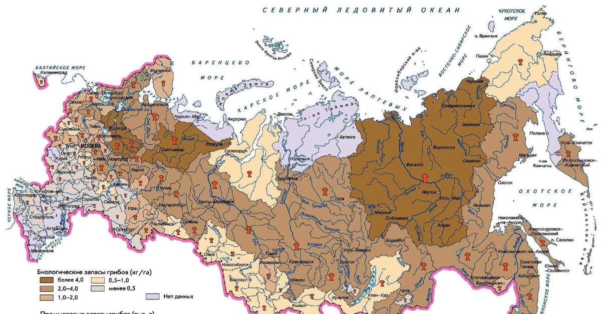 Места где растут. Карта запасов грибов в РФ. Белый гриб карта распространения. Карта распространения белых грибов в России. Карта белых грибов России.