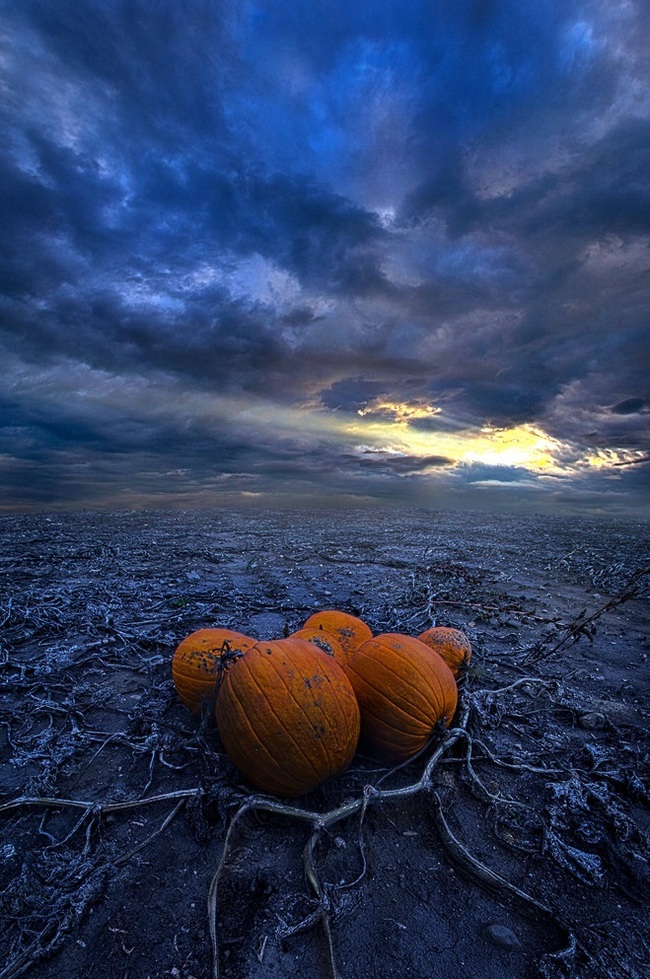 Quiet whisper of autumn - The photo, Landscape, Autumn, Horizon, Wisconsin, Treatment, The sun, Nature, Longpost