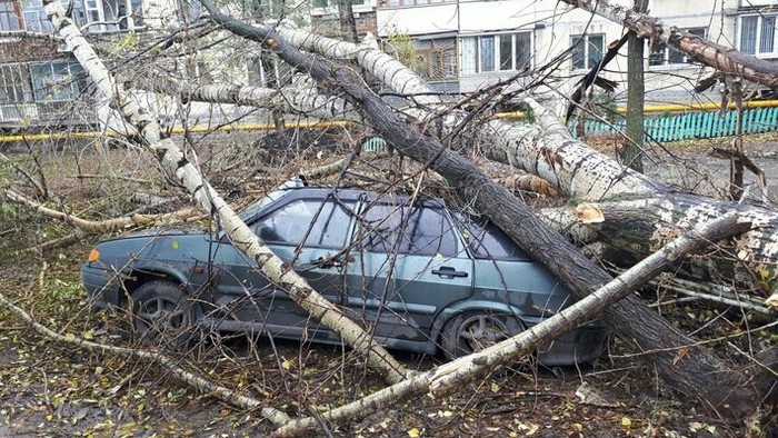 Don't park on lawns - Lawn, Wind, Tree, Tags are clearly not mine