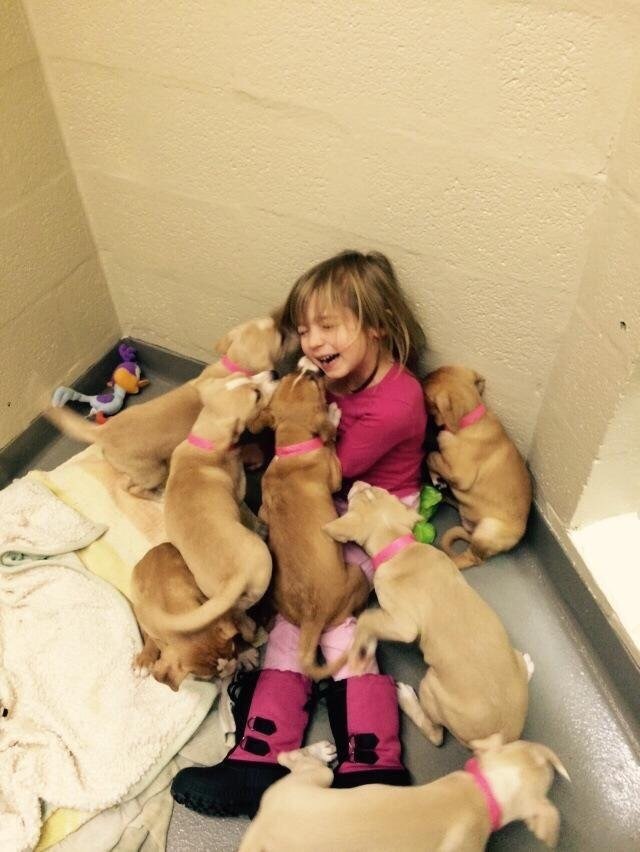 A volunteer brought his daughter to feed the puppies at a dog shelter... - Puppies, Animal shelter, Volunteering, Milota, Dog