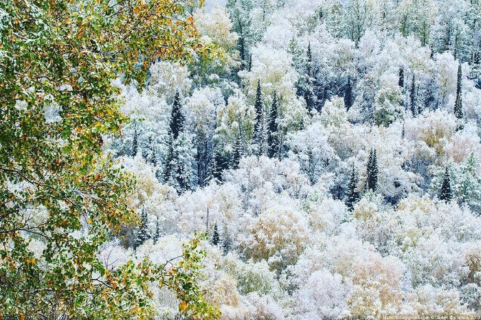 Snow-covered Gorny Altai - Mountain Altai, Altai, The photo, Instagram, Longpost, Altai Republic