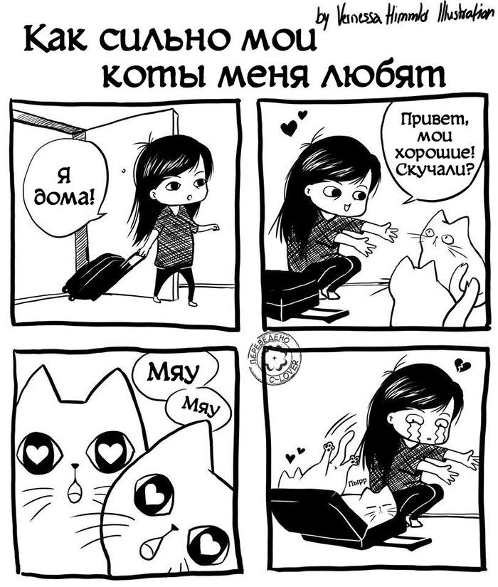 Cat love - Comics, , cat, Vernessa Himmler