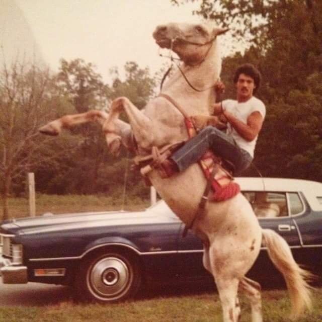 Reddit user: As cool as I am, I will never be cooler than my dad at my age. - Reddit, Horses