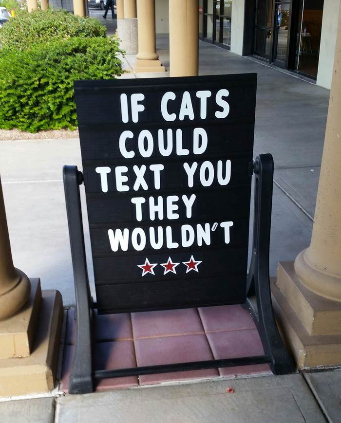 If cats could text us... - cat, , Fluffy, Woolen, 