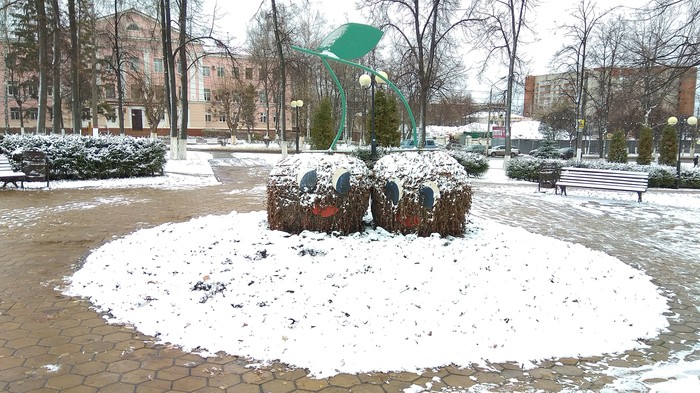 Flower sculptures in late autumn - My, Sculpture, Winter, Kripota