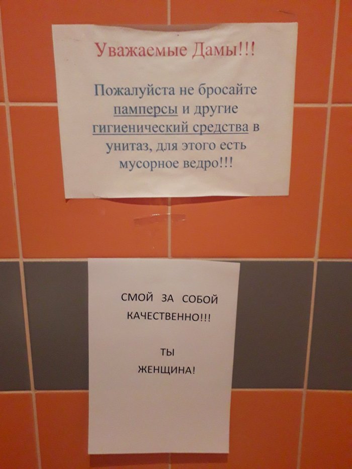 А если ты мужчина, то можешь вообще не смывать - Моё, Туалет, Туалетная бумага, Унитаз, Объявление