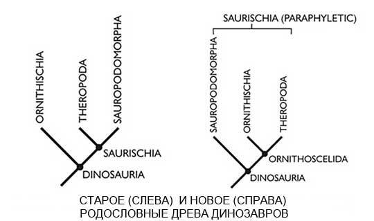 Тероподы, на выход. Палеонтологи перетасовали родословную динозавров - Палеонтология, Динозавры, Новости, Копипаста, Систематика, Длиннопост