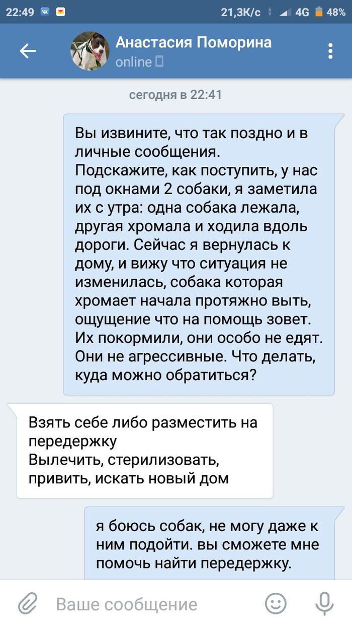 Ну мы только деньги собираем - Моё, Передержка, Приют для животных, Длиннопост