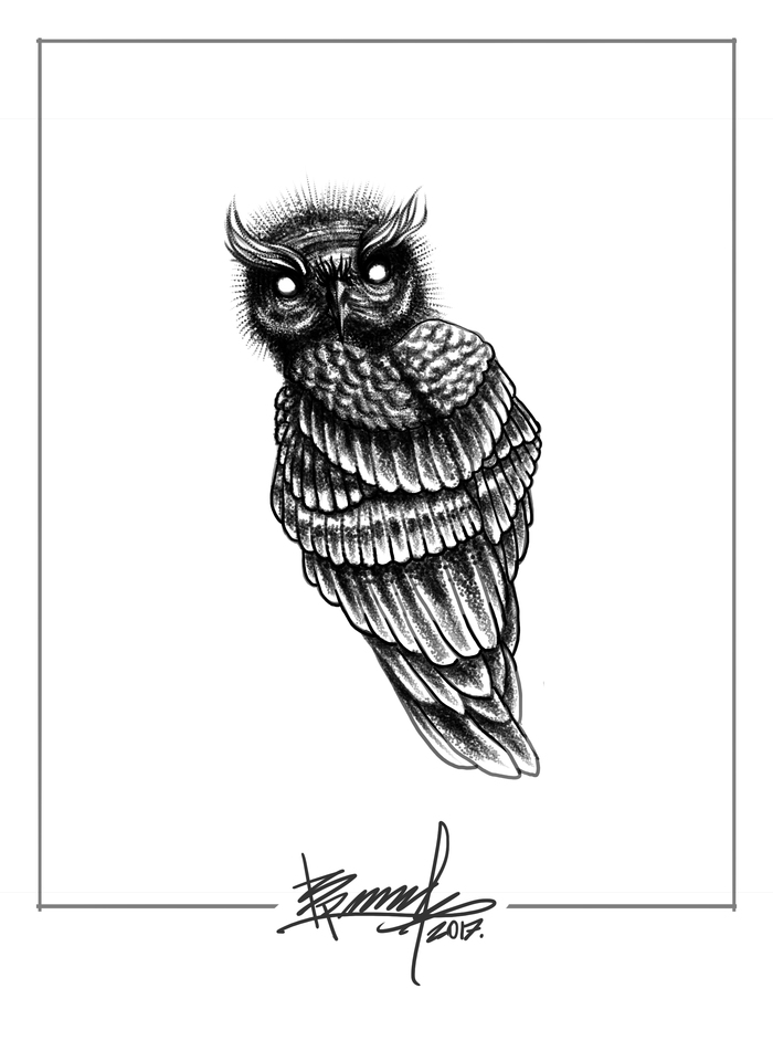 Owl - My, Digital drawing, Tattoo, Owl