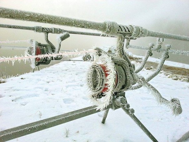 Winter feeder - Fishing, Feeder, The photo, Not mine