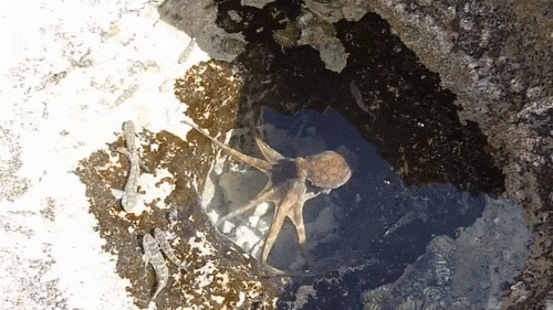      ?!