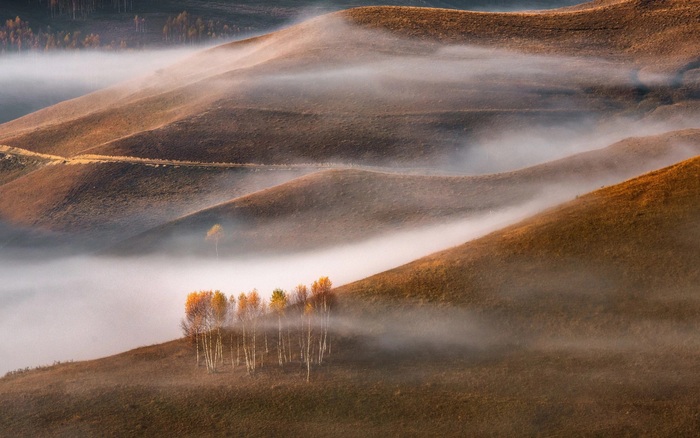 Осень туманная