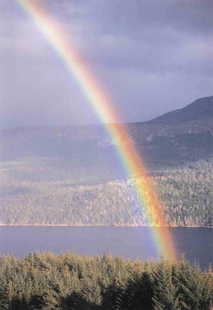 Rainbow