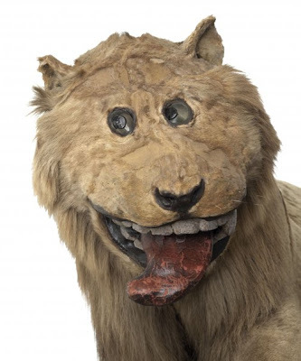 Story with a story about a stuffed lion - Story, Humor