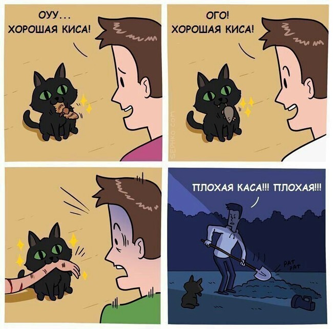 Good kitty)) - Comics, Devotion, cat