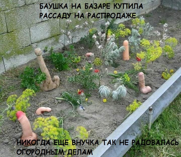 Battle for the harvest - Garden, Harvest, My, NSFW, Сельское хозяйство