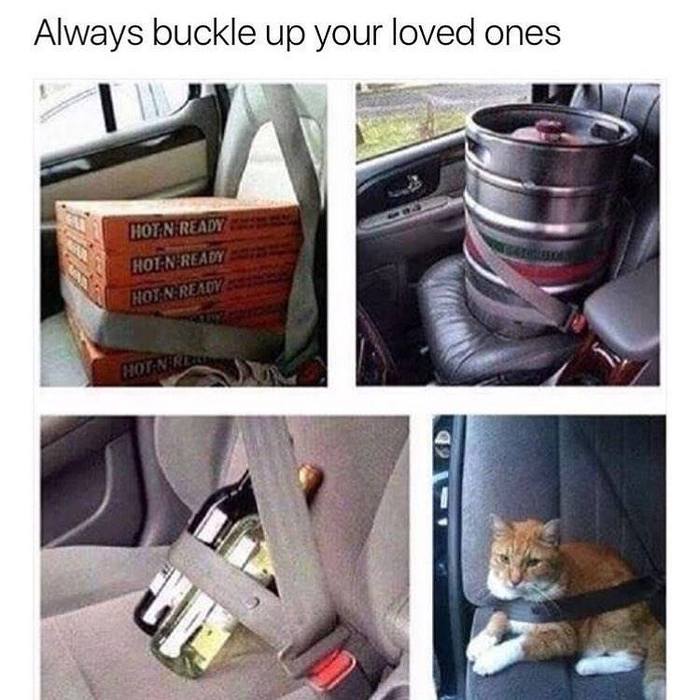 Always buckle up your loved ones - 9GAG, cat, Car, Pizza, Beer, Barrel, Alcohol