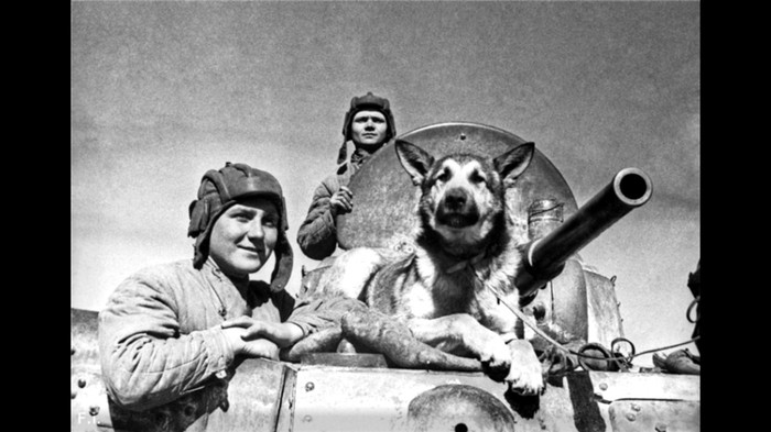 Вестерн по-русски. Почему освоение Сибири не породило культурный миф и чем русская колонизаторская героика отличается от мировой. Фильмы, Культура, Вестерн, Истерн, Видео, Длиннопост