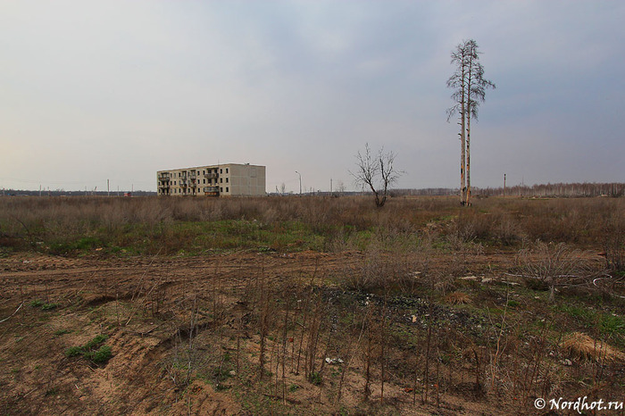 Заброшенные дома сгоревшего поселка Моховое Моховое, Московская область, Заброшенное, Длиннопост, Урбанфото