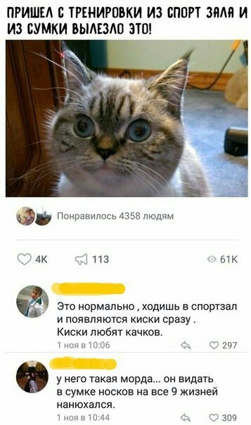 После трени - Кот, Нежданчик