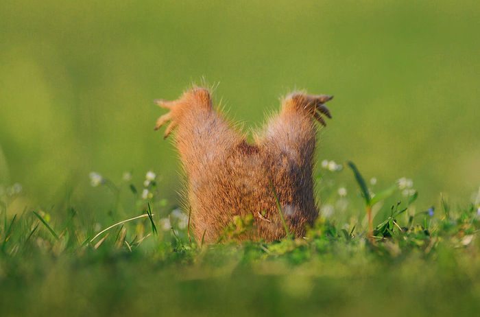 �� ���������!�