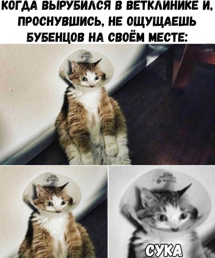 Заголовок...