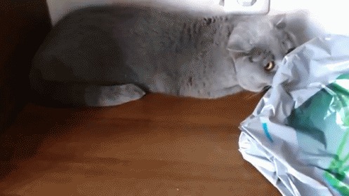      !    !