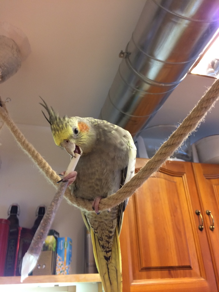 ��������� ��������