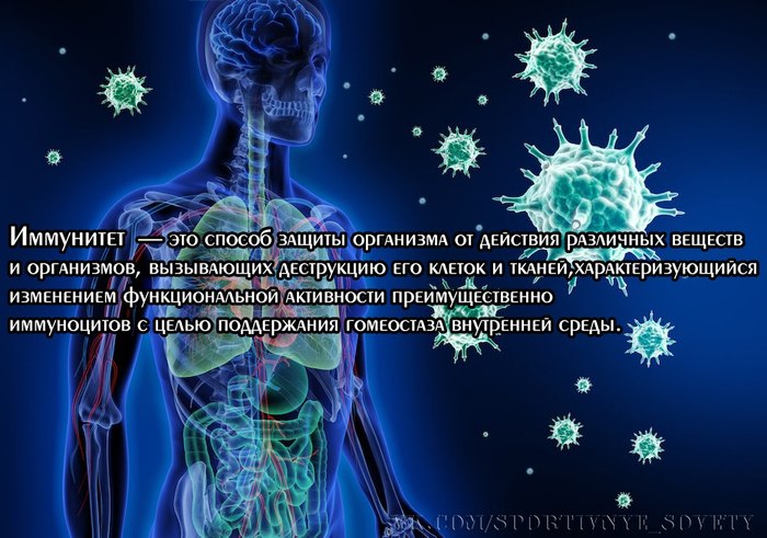 Реклама мы то что мы едим. 1510129696141656079. Реклама мы то что мы едим фото. Реклама мы то что мы едим-1510129696141656079. картинка Реклама мы то что мы едим. картинка 1510129696141656079. девяностых и ранних нулевых — то, что многим из нас запомнилось не меньше, чем политические события в стране и мире. Смахиваем слезу ностальгии и вспоминаем самые яркие и креативные ролики тех лет. Реклама мы то что мы едим. 1510129696141656079. Реклама мы то что мы едим фото. Реклама мы то что мы едим-1510129696141656079. картинка Реклама мы то что мы едим. картинка 1510129696141656079. девяностых и ранних нулевых — то, что многим из нас запомнилось не меньше, чем политические события в стране и мире. Смахиваем слезу ностальгии и вспоминаем самые яркие и креативные ролики тех лет.